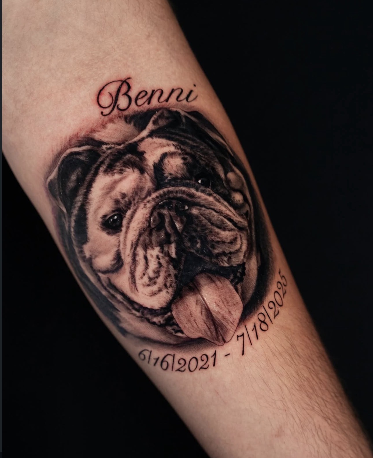 Black and grey bulldog pet memorial portrait tattoo by Sandra